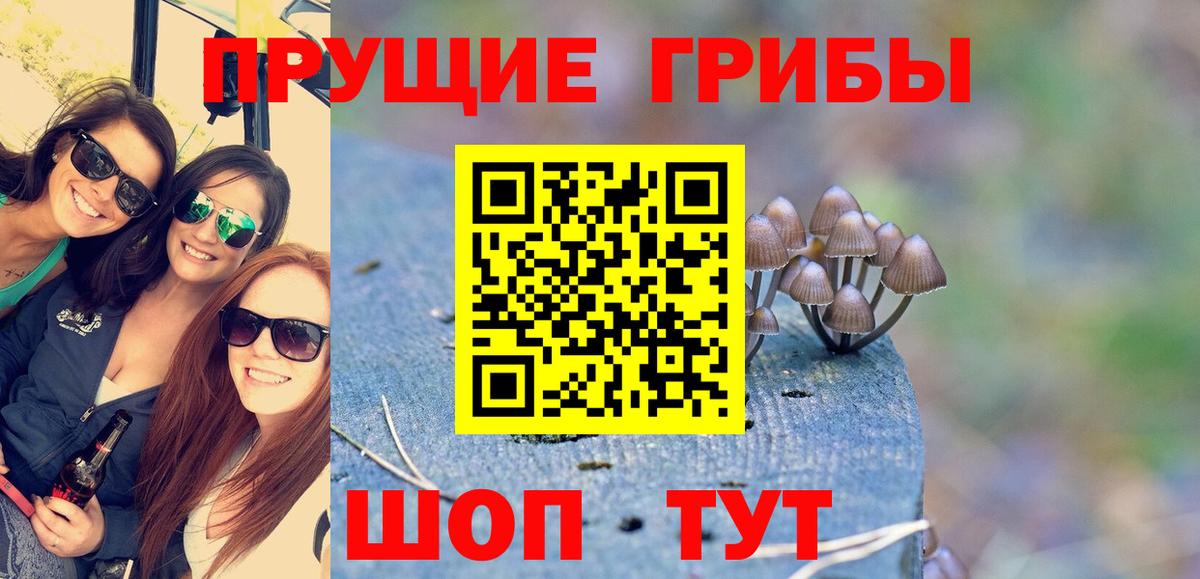 Знаменск  Галлюциногенные грибы мицелий  Галлюциногенные грибы мухоморы  Вход с VPN 