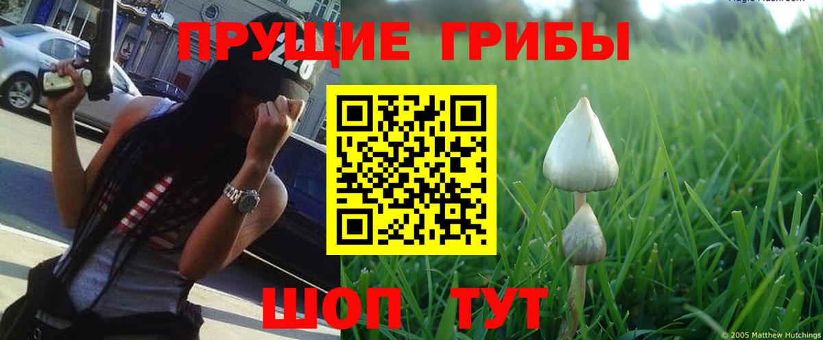 Галлюциногенные грибы мухоморы Знаменск